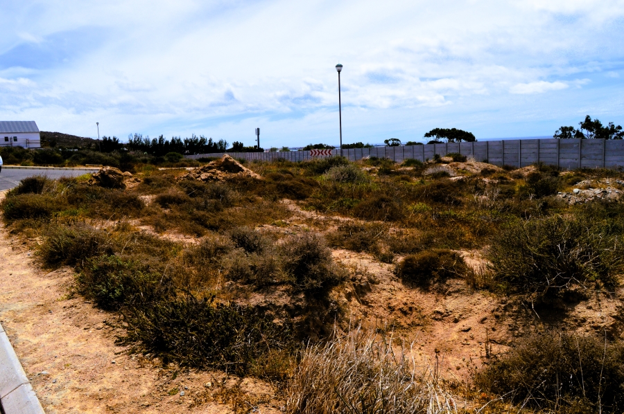 0 Bedroom Property for Sale in Steenbergs Cove Western Cape